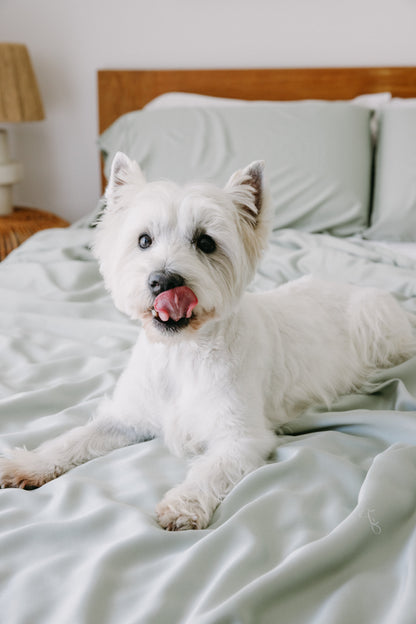 Eco-Friendly Bamboo Dog Bed Cover for Ultimate Comfort